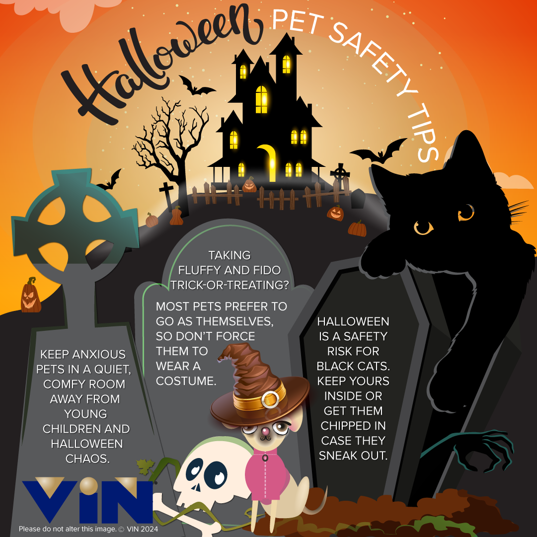 Halloween Safety